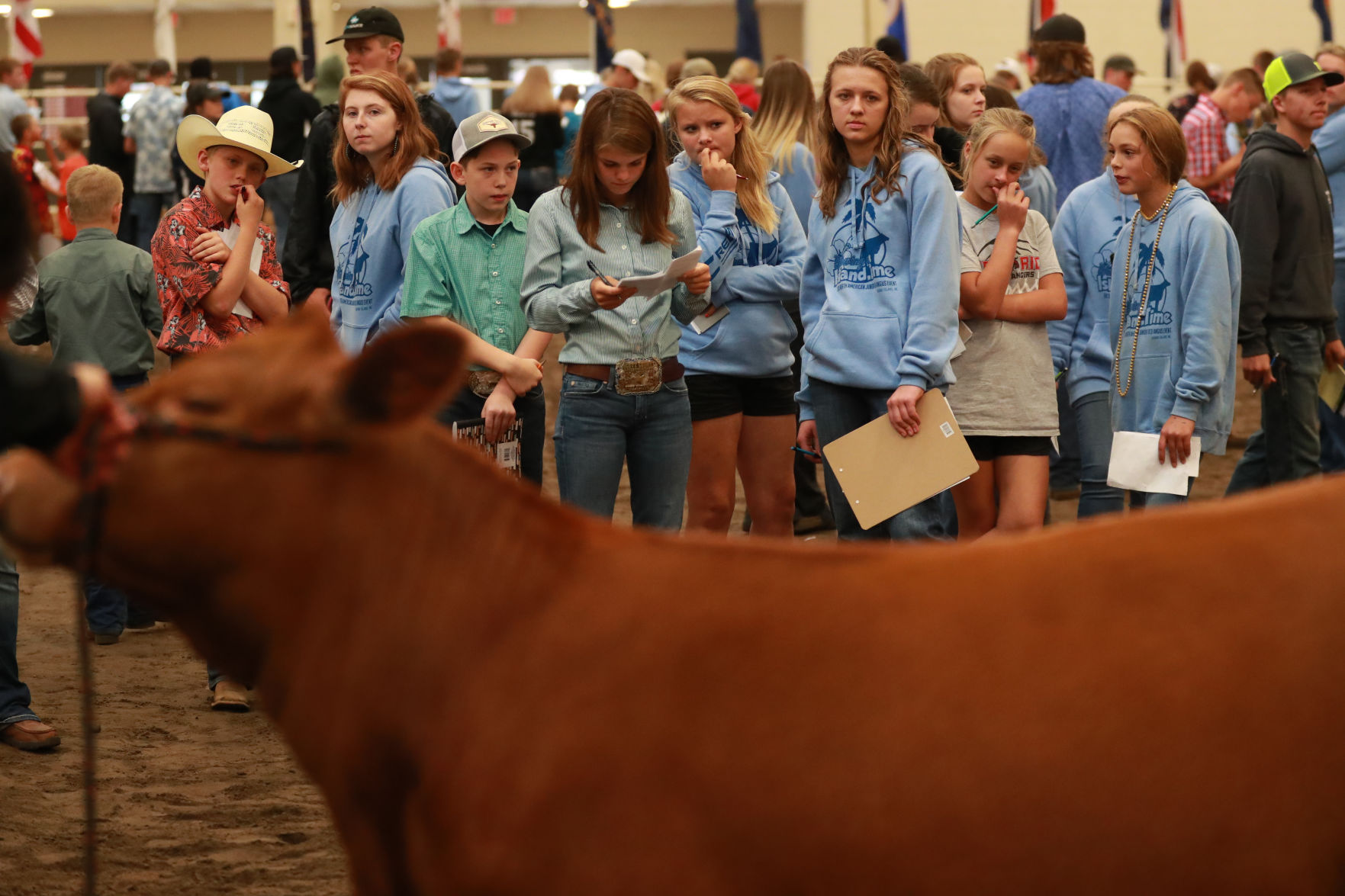 061819_RedAngusJudging17_bjs.JPG